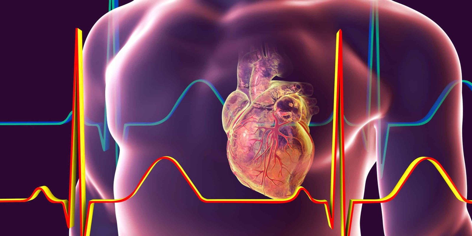 Diagnosis and treatment of cardiovascular diseases in Bangladesh